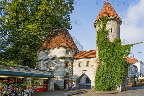 Old City Gate