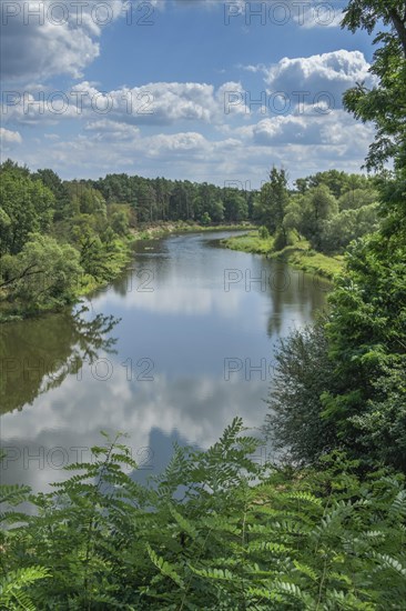 Lusatian Neisse near Lodenau