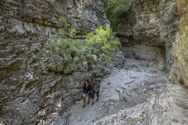 Narrows