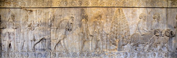 Relief detail of the delegation of nations bringing gifts to Darius on the steps of Apadana Palace