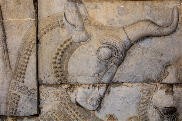 Relief detail of the delegation of nations bringing gifts to Darius on the steps of Apadana Palace