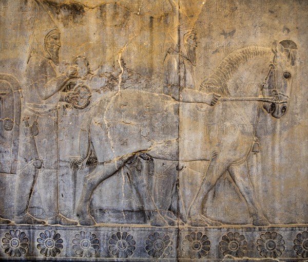 Relief detail of the delegation of nations bringing gifts to Darius on the steps of Apadana Palace