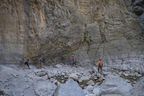 Hiking trail