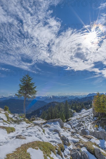 Alpine panorama