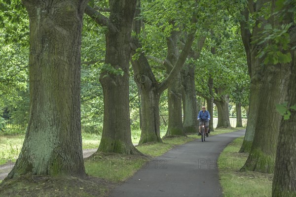 Cycle path on the Neisse dyke near Forst