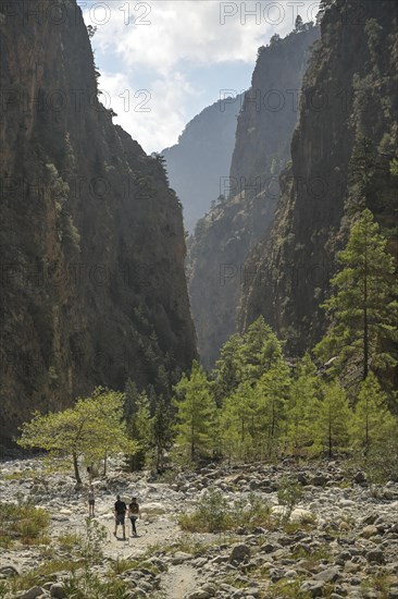 Hiking trail