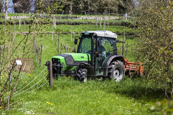 Farmer with his tractor at work among the vineyards on the hillside