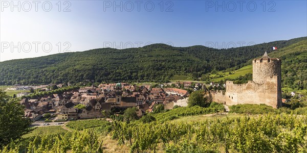 Town view with vineyards and the castle of Kaysersberg