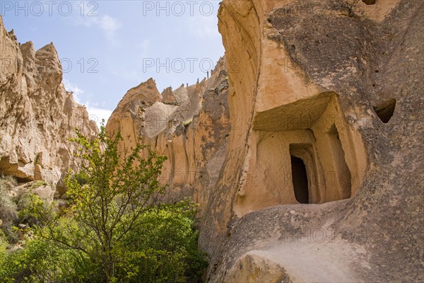 Living caves