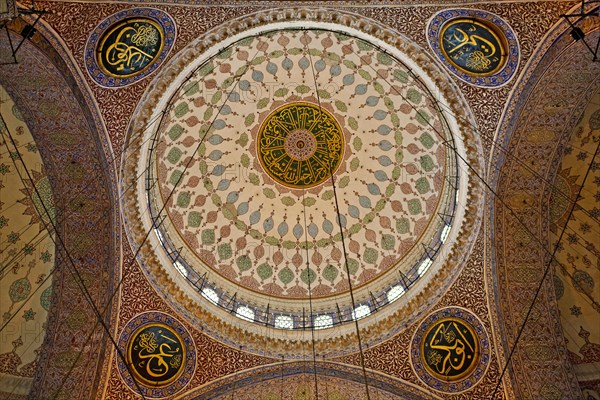 Multiple Domes of the New Mosque