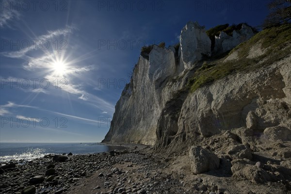 Mons Klint chalk cliff