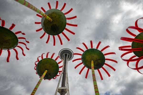 Glass flowers and Space Needle