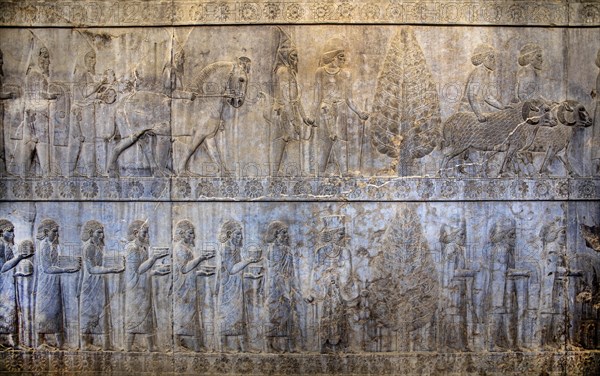 Relief detail of the delegation of nations bringing gifts to Darius on the steps of Apadana Palace