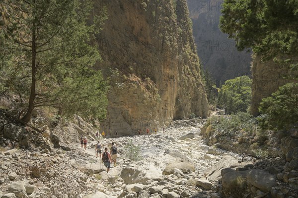 Hiking trail