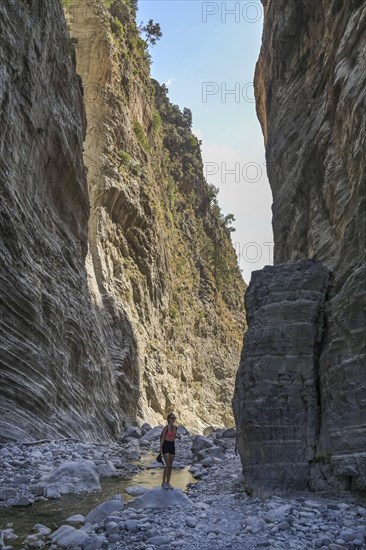 Hiking trail