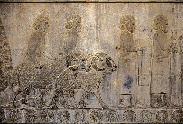 Relief detail of the delegation of nations bringing gifts to Darius on the steps of Apadana Palace