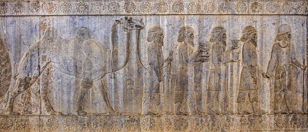 Relief detail of the delegation of nations bringing gifts to Darius on the steps of Apadana Palace