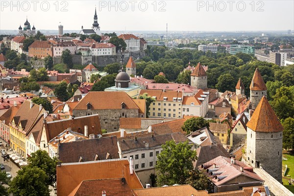 View of the Old Town with City Wall and Cathedral Hill