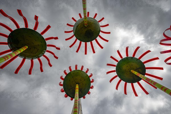 Glass flowers