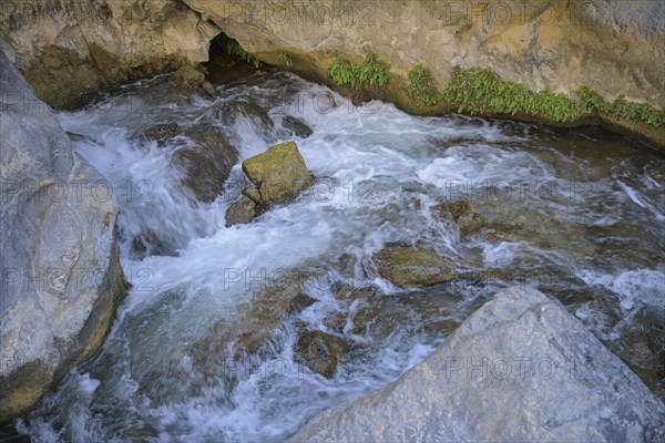 Mountain stream