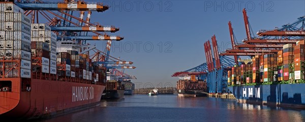 Container ships at the Eurogate and Burchardkai container terminals
