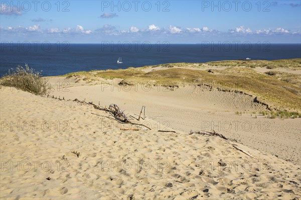 Dune Landscape