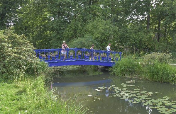 Fuchsia Bridge