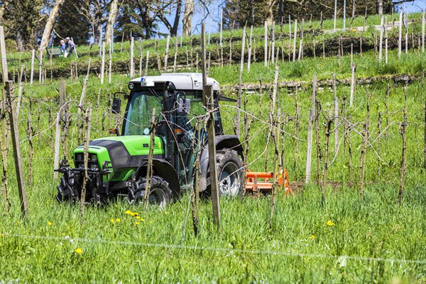 Farmer with his tractor at work among the vineyards on the hillside