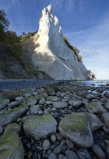 Mons Klint chalk cliff