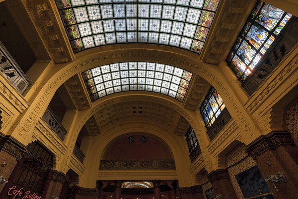 Vaulted ceiling with skylights