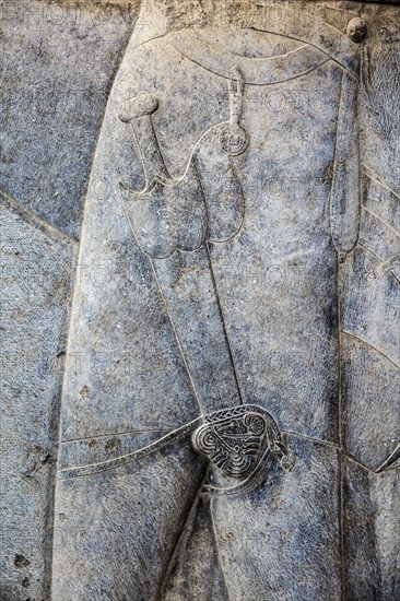 Relief detail of the delegation of nations bringing gifts to Darius on the steps of Apadana Palace