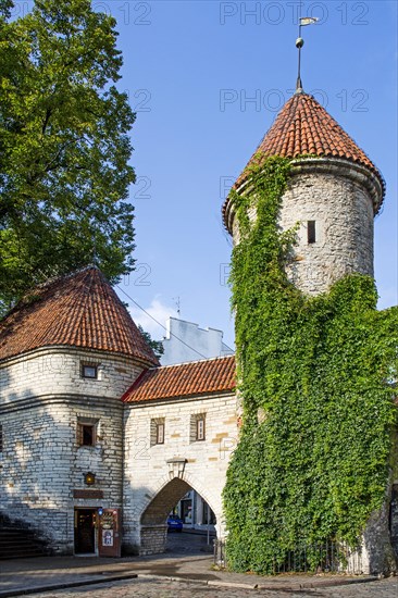 Old City Gate