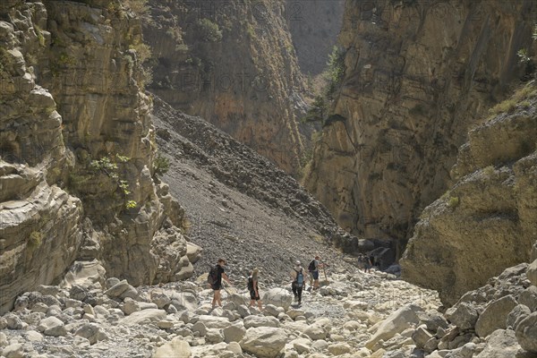 Hiking trail