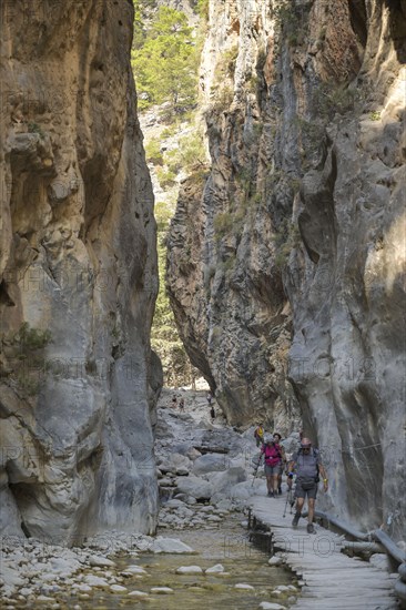 Hiking trail