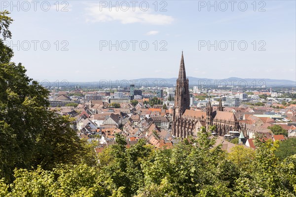 View of the cathedral and city from Kanonenplatz