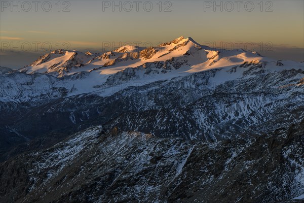 Snowy summit of Monte Cevedale in the morning light