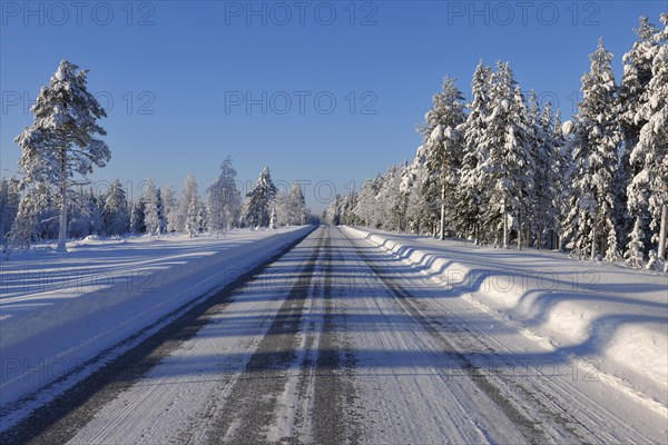 Road in the Winter