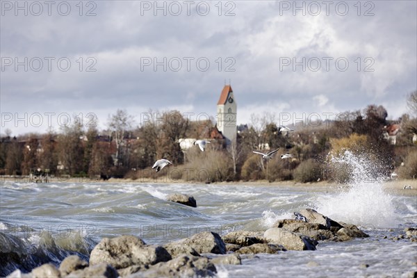 Storm Lolita whips waves against the stony shore in the background Hagnau