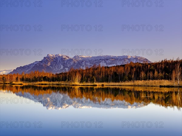 Untersberg reflected in the moor lake in Ainringer Moor