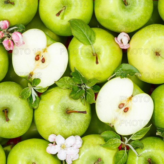 Apples fruits green apple fruit background with flowers and leaves square