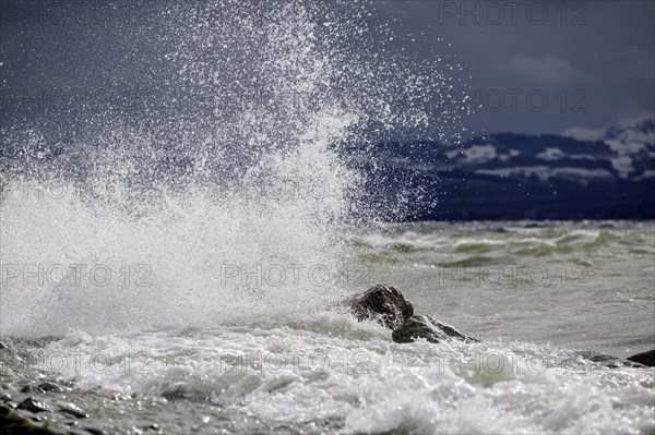 Storm Lolita raging on the stony shore in Hagnau