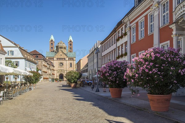 Maximilianstrasse with view of Speyer Cathedral