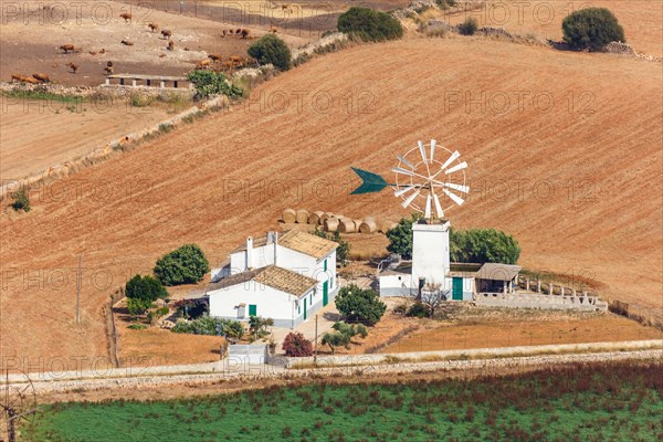 Traditional finca farm with windmill landscape aerial view in Majorca