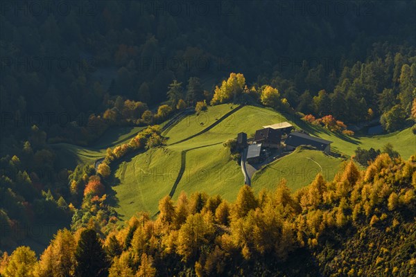 Mountain farm on mountain meadow with larch