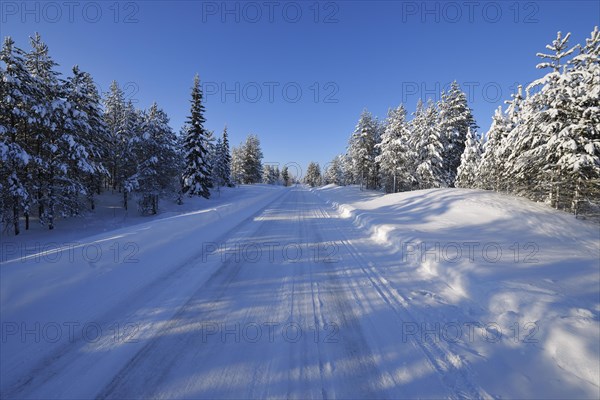 Sun over snow covered road in winter