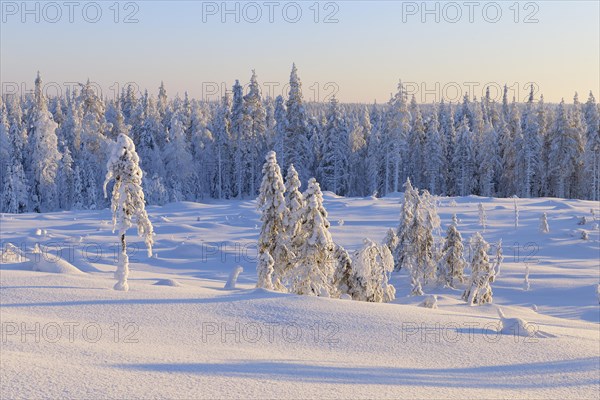 Snow covered winter landscape