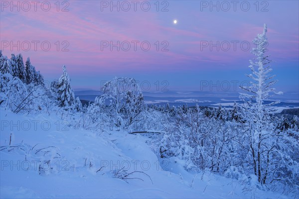 Snow Covered Winter Landscape at Dawn. Grosser Feldberg