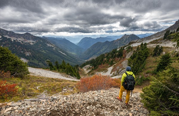 Hikers on a hiking trail