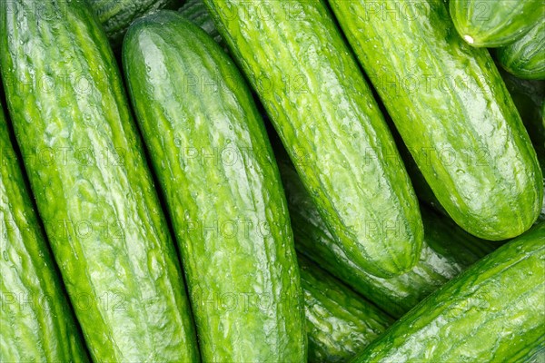 Cucumbers Cucumber Vegetable Background from above
