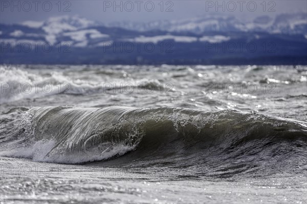 Storm Lolita raging on the rocky shore with waves in Hagnau